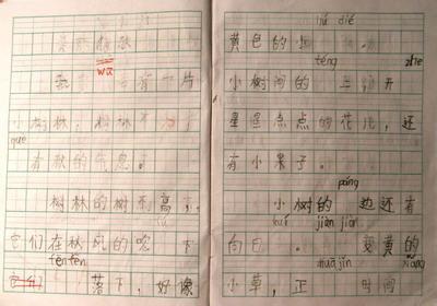 踢足球作文300字 我爱踢足球作文300字6篇