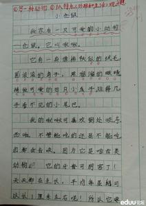 做家务的作文400字 做家务让我快乐的400字作文