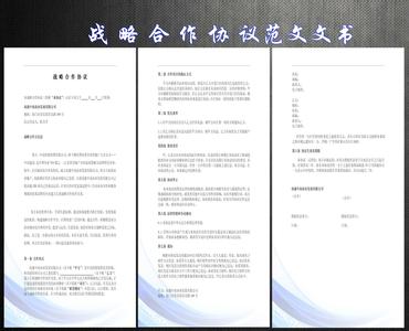 公交战略合作协议范文 公司战略合作协议范文