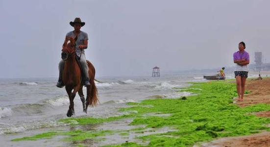 沙滩租赁合同 沙滩租赁合同范本