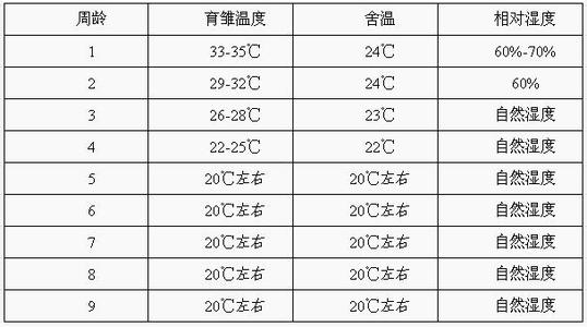 肉鸡饲养阶段 肉鸡各阶段适宜温度范围是多少