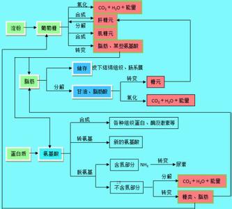 化学方程式趣味记忆 趣味记忆生物化学知识