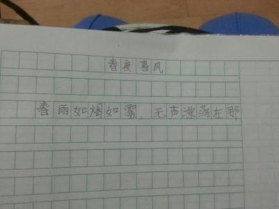 雨中漫步作文 在雨中漫步的作文600字