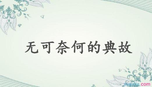 无可奈何的意思 有关无可奈何的典故