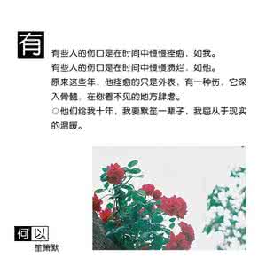 龙族经典语录大全 顾漫经典语录大全