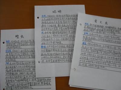 读书心得1000字范文 昆虫记读书心得1000字_昆虫记读书心得1000字范文