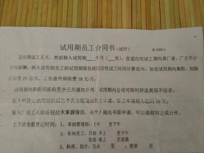 学生会工作报告范文 学生会活动报告范文3篇