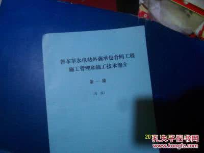 水电站运维承包合同 水电站承包合同，水电站承包合同样本