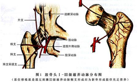 另类变态超碰在线2017 2017另类健康方法介绍