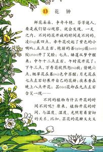 蜜蜂教材分析 花钟教材分析