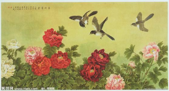 国画工笔牡丹白描图片 国画工笔牡丹图片