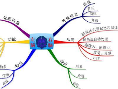 开发右脑的音乐 音乐对右脑开发有没有帮助