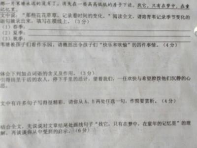 消失的麦客阅读答案 消失的麦客阅读题答案