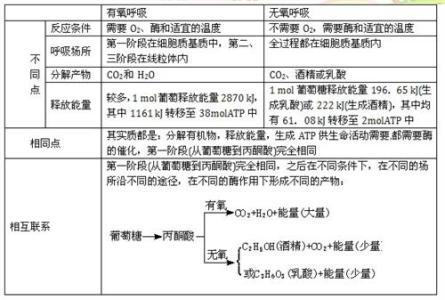 高一生物必修二知识点 高一生物必修一知识点人教版