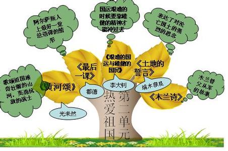 小学生实践能力的培养 浅议多渠道培养语文综合实践能力