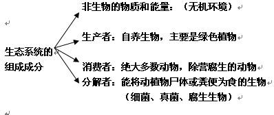 高二物理知识点整理 高二生物《生态系统的结构》知识点整理