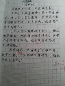 赏花作文400字 小学生赏花的作文400字4篇