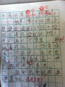 成长的烦恼作文800字 成长的烦恼作文800字记事作文