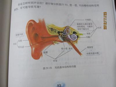 初一下册生物期中试题 初一下册生物《人对外界环境的感知》测试试题