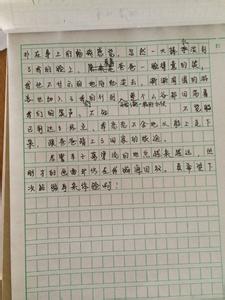 快乐的暑假作文300字 我快乐的暑假生活作文300字三年级，快乐暑假作文300字