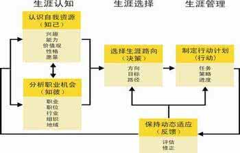 职业生涯规划策划书 营销与策划的职业生涯规划设计书3篇