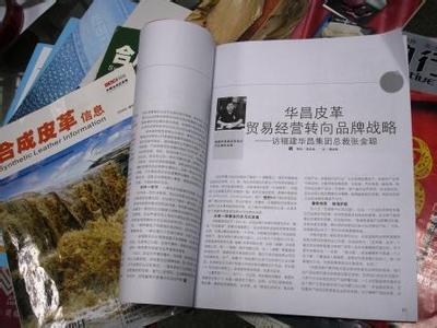 安踏是哪个国家的品牌 安踏品牌管理论文