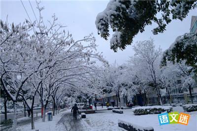 春天下雪天的心情说说 下雪天的心情说说