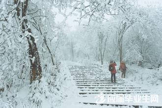 适合下雪天听的歌 下雪时听的歌 适合下雪天听的歌