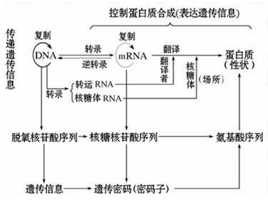 高一生物知识点总结 高一生物蛋白质知识点总结