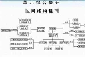 高一生物必修一第五章 高一生物第五章知识点