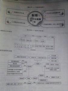 生物必修二知识框架图 高中生物必修3知识框架图