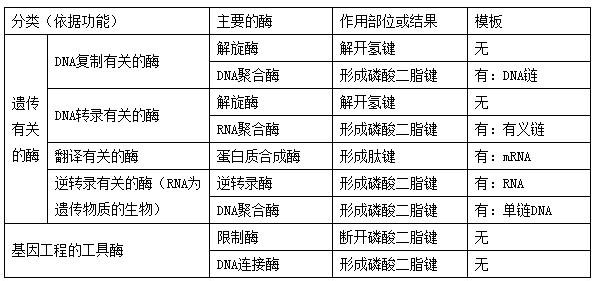 高中生物遗传知识点 高考生物遗传与基因工程中的酶知识点