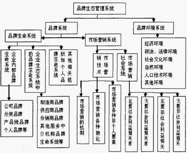 生态系统的结构 品牌生态系统的结构是怎样的