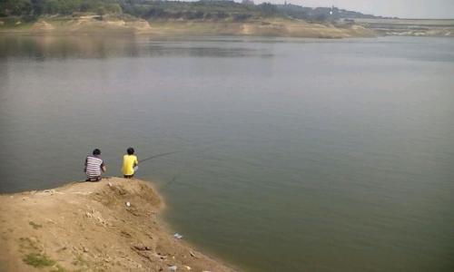 夏季水库钓鱼技巧 夏季在水库钓鱼有什么技巧