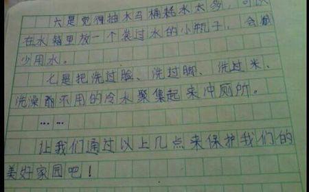 保护动物倡议书300字 倡议书300字的作文