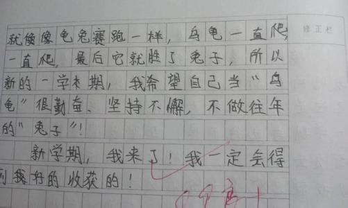 开学典礼新闻稿范文 以开学典礼为题的作文800字范文4篇