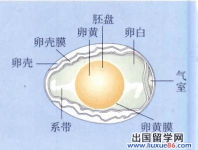 2014年初中生物会考复习试题答案