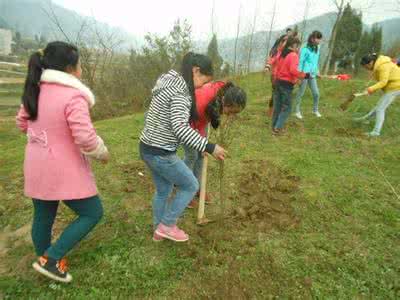 2017义务植树活动总结 2017小学植树活动总结_小学植树活动总结范文