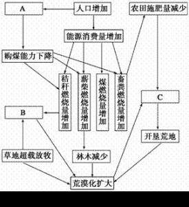 植物的激素调节知识点 高二生物激素调节知识点梳理