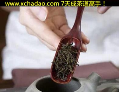 茶道顺序 茶道顺序_茶道有什么顺序