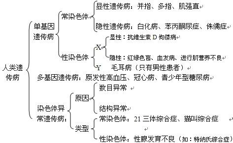 高二生物知识点 高二生物生物净化的原理知识点