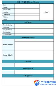 英文简历表格模板 英文简历表模板