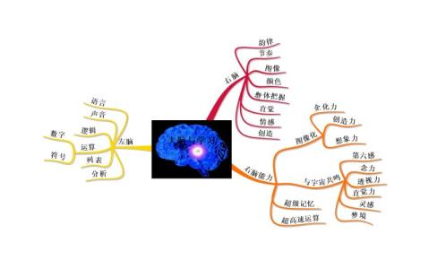 右脑开发训练的副作用 右脑开发训练的原理