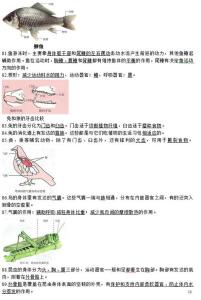 2016初中生物复习资料