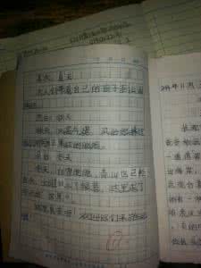 游记作文300字 游记作文300字_精选游记作文300字