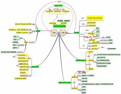 七年级生物教学总结 2017七年级生物教学工作总结