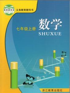 初中数学教学随笔 关于初中数学教学随笔