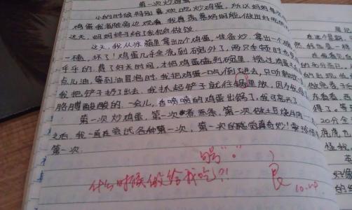 语文老师作文评语 小学语文作文的评语_小学作文老师评语