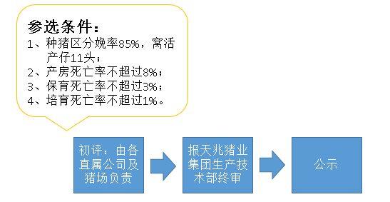 小型猪场人员管理制度 猪场员工守则