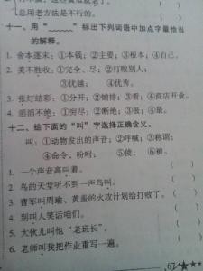 小学语文教学总结范文 小学语文教学总结范文3篇